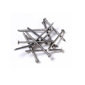 SS 304 stainless steel Nails round head iron nail